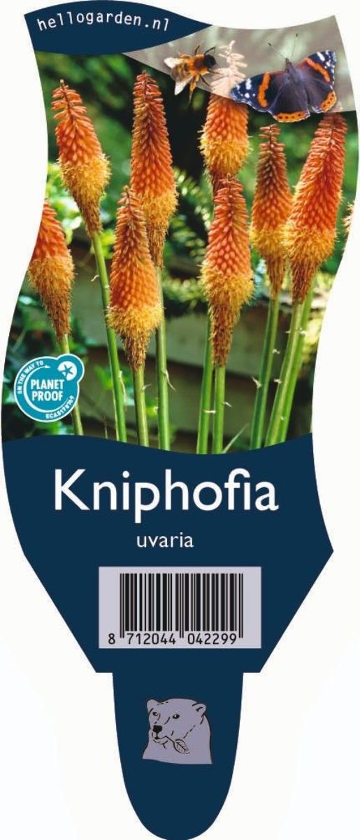 Main image on product details page