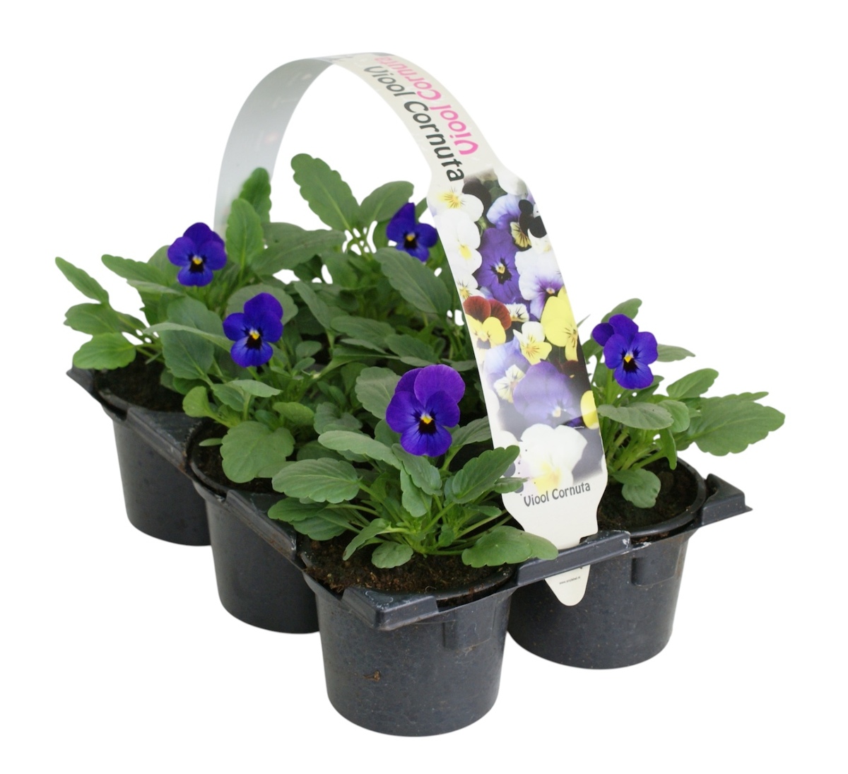 Main image on product details page