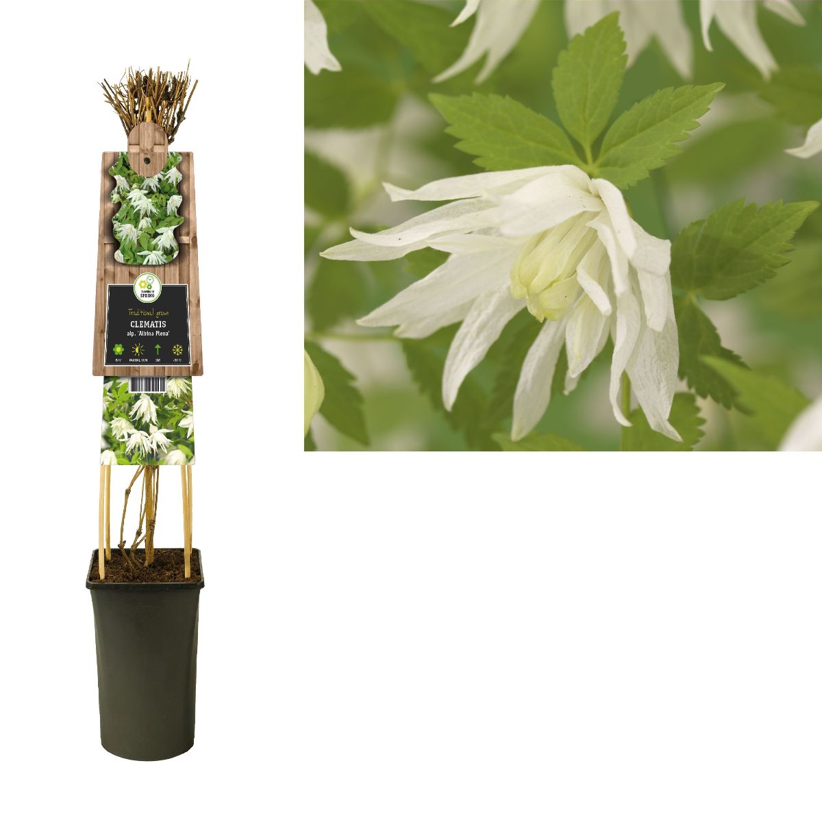Main image on product details page