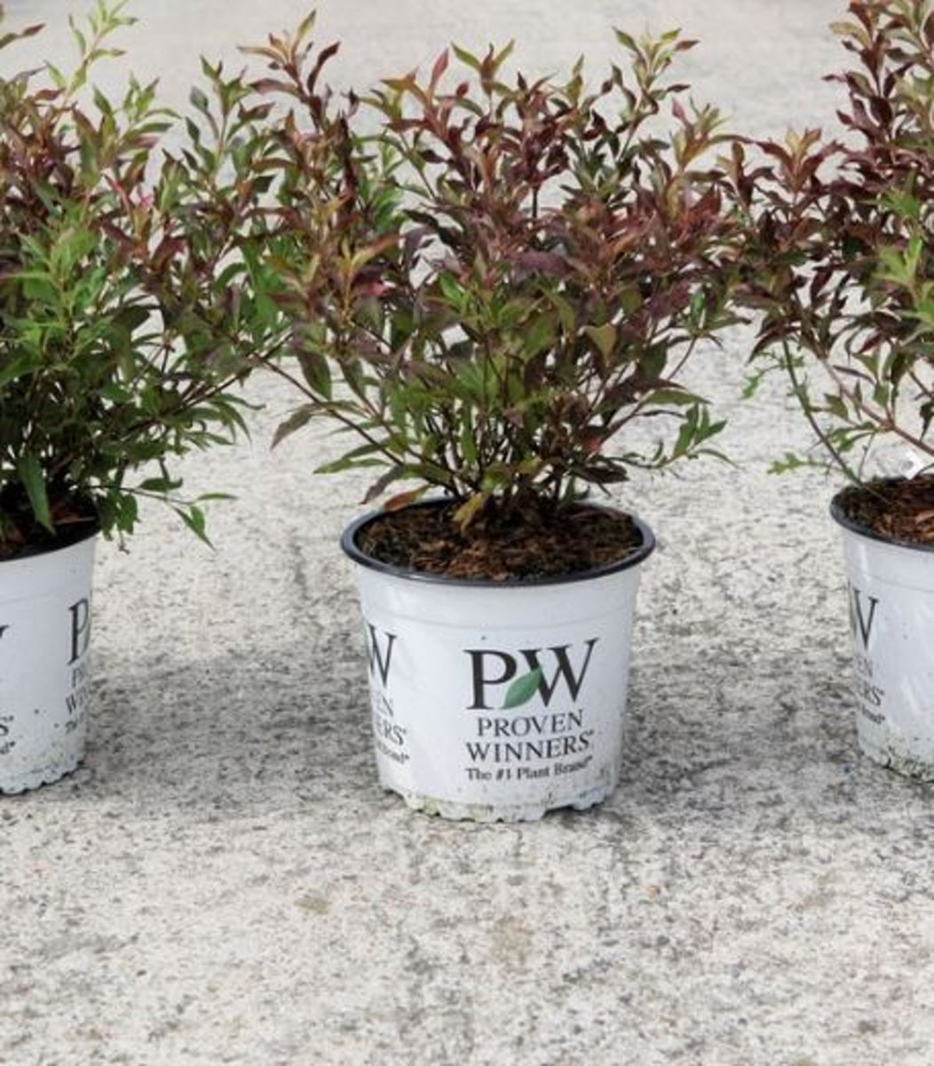 Main image on product details page