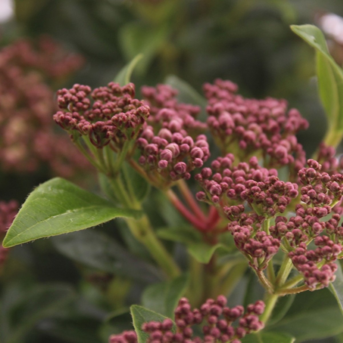 Main image on product details page